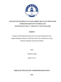 STRATEGI PENGEMBANGAN USAHA MIKRO, KECIL DAN MENENGAH (UMKM) DI KABUPATEN PANDEGLANG (STUDI KASUS PADA CV.DEALLOVA NUSANTARA HS)