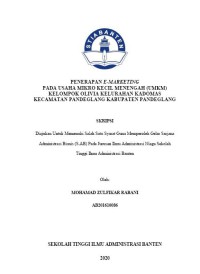 PENERAPAN E-MARKETING PADA USAHA MIKRO KECIL MENENGAH (UMKM) KELOMPOK OLIVIA KELURAHAN KADOMAS KECAMATAN PANDEGLANG KABUPATEN PANDEGLANG