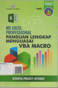 Ms excel professional